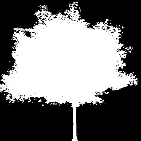 tree_30