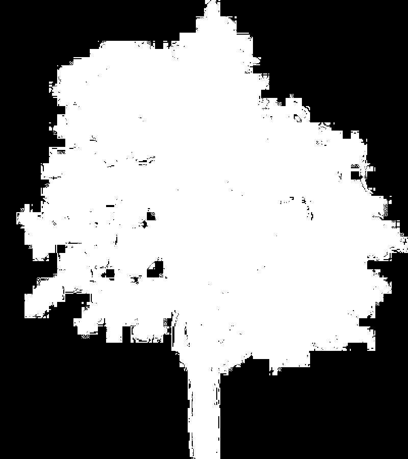 tree_32