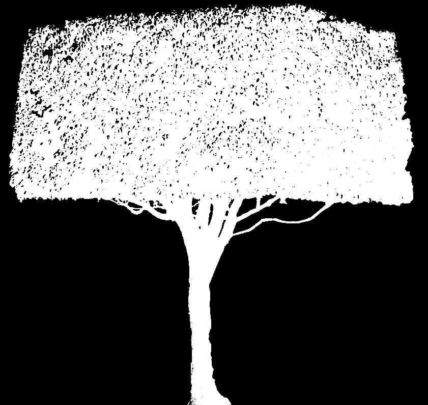 tree_36