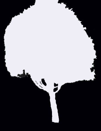 tree_39