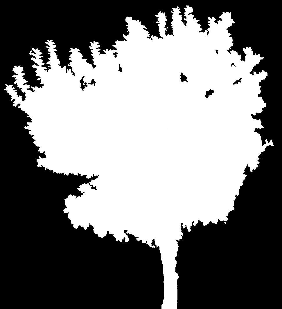 tree_57