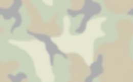 camouf_94