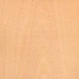 wood_497