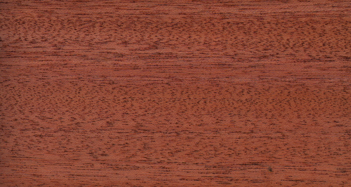 wood_571