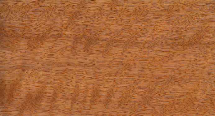 wood_586