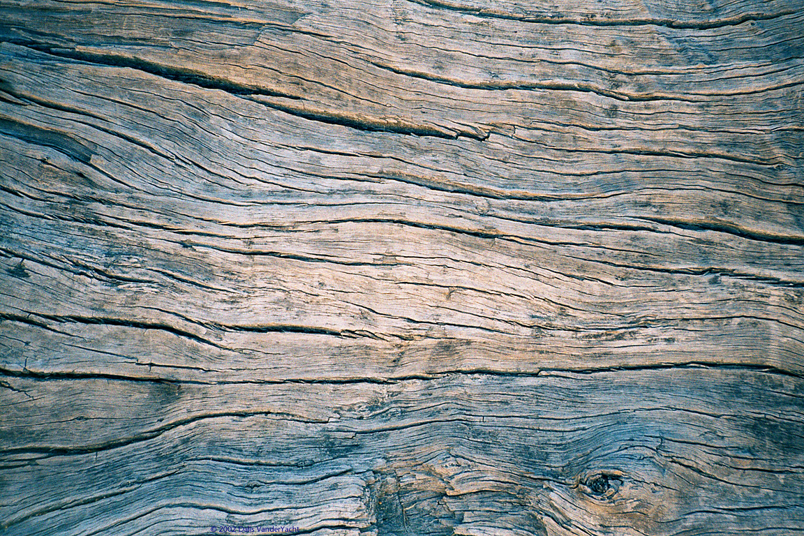 wood_590