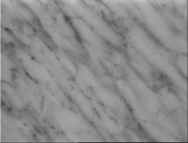 marble_284