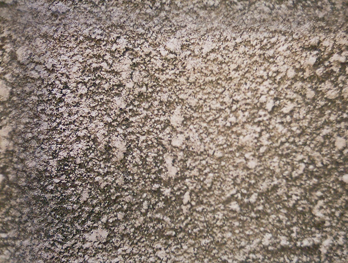 cement_125