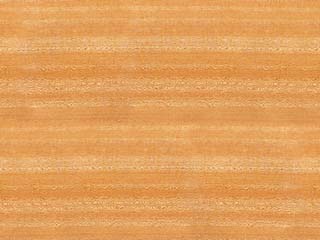 wood_318