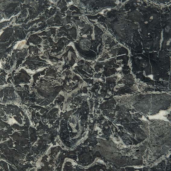 marble_two_473